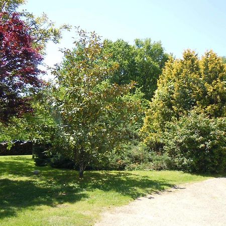 Bed and Breakfast Moulin De Latouille Екстер'єр фото